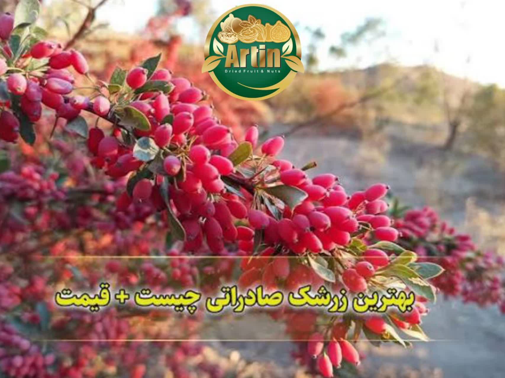 صادرات زرشک ارگانیک ایران به ژاپن