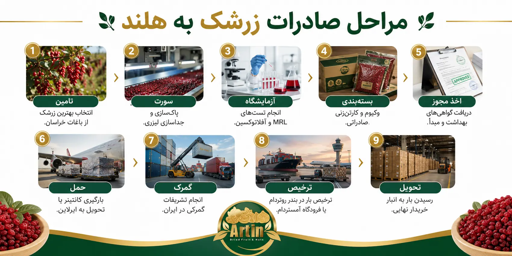 مراحل صادرات زرشک به هلند