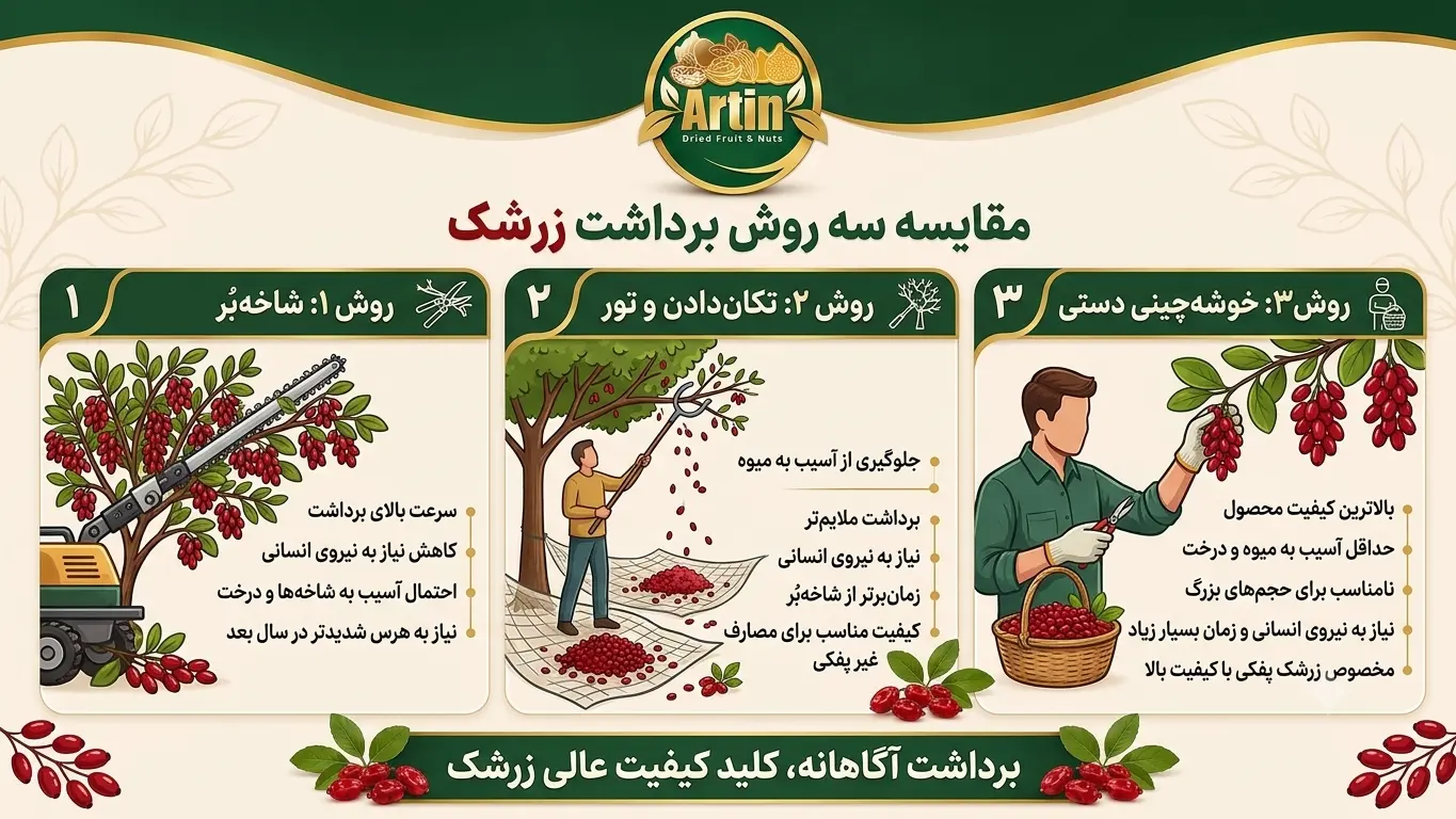 مقایسه سه روش برداشت زرشک؛ شاخه بُر، تور زیرین و خوشه چینی دستی