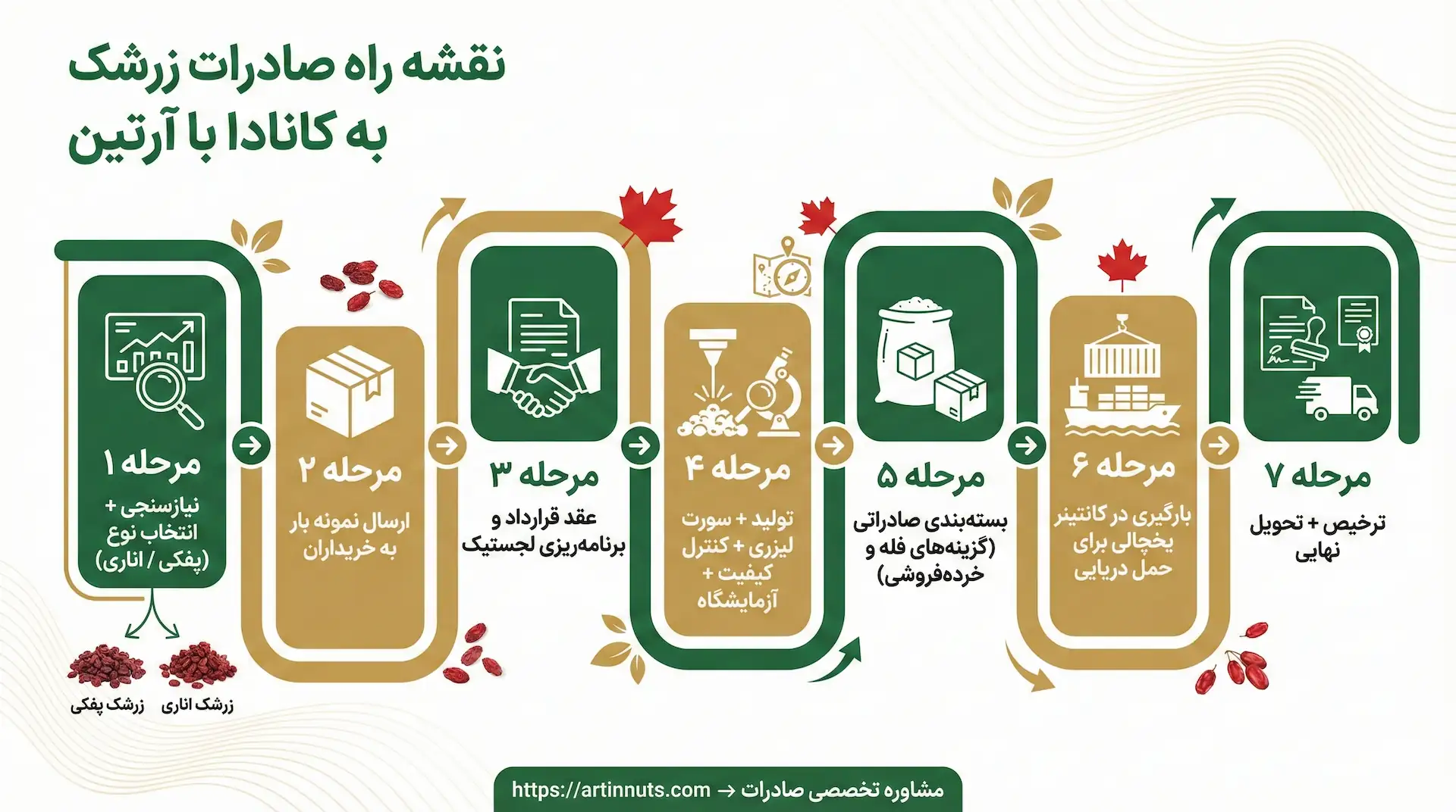 مراحل صادرات زرشک ارتین به کانادا