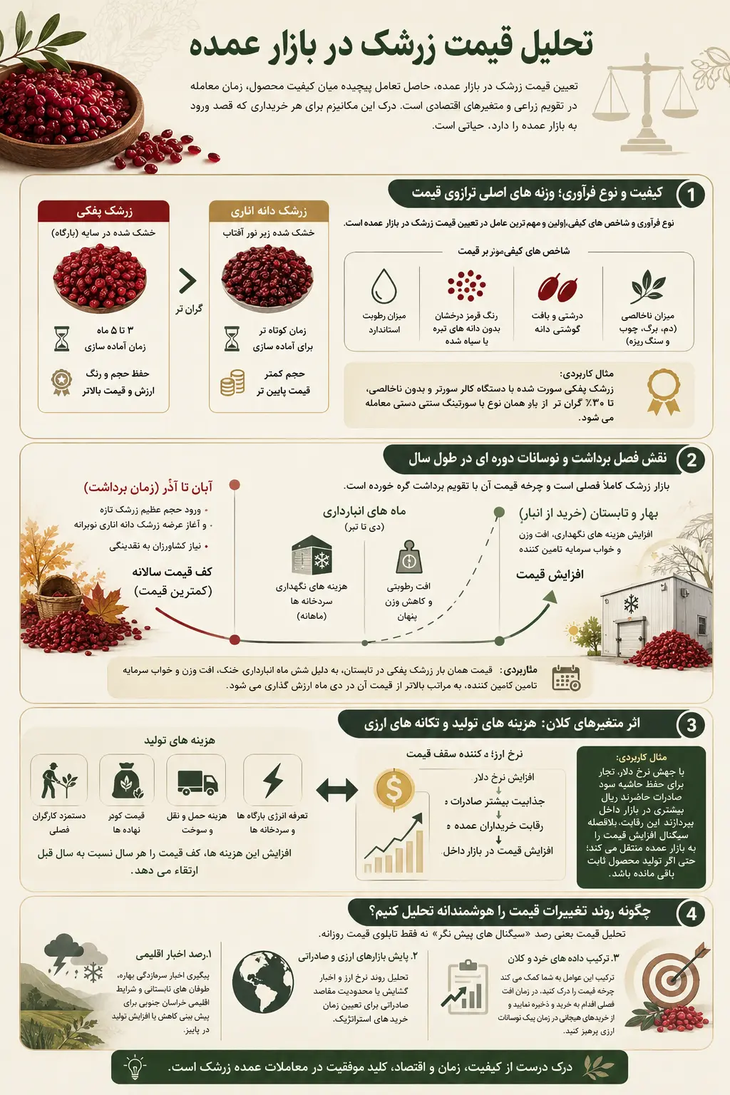اینفوگرافیک تحلیل قیمت زرشک در بازار عمده؛ تأثیر کیفیت، نوع زرشک، فصل برداشت، هزینه های تولید و نرخ ارز بر قیمت عمده زرشک