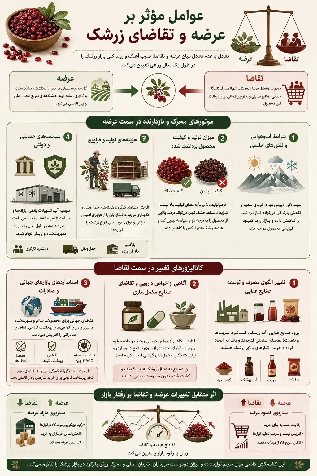 اینفوگرافیک عوامل مؤثر بر عرضه و تقاضای زرشک؛ نقش آب وهوا، تولید، کیفیت محصول، هزینه های فرآوری، صنایع غذایی، صادرات و تعامل عرضه و تقاضا در بازار زرشک