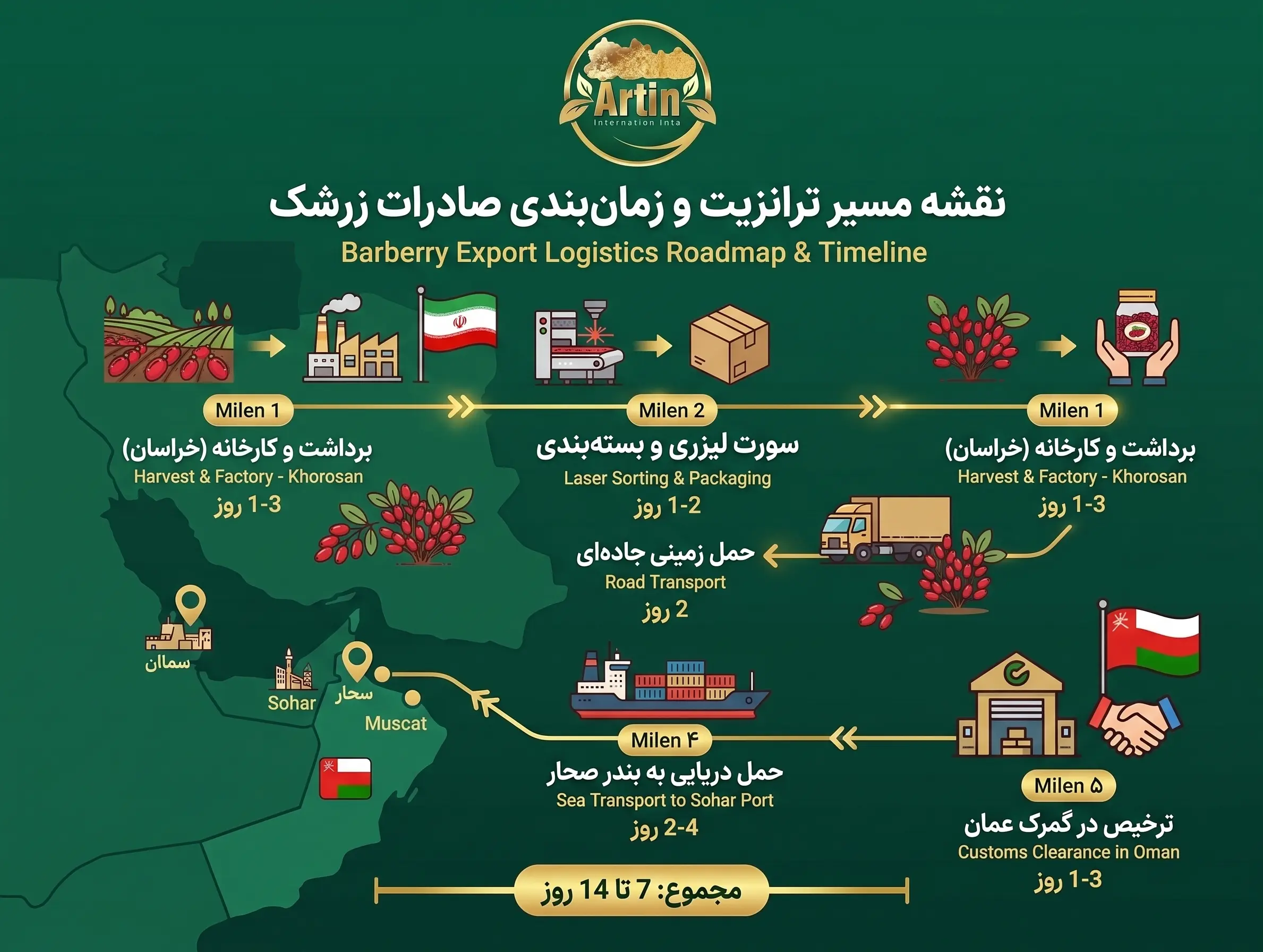اینفوگرافیک نقشه مسیر ترانزیت و مراحل صادرات زرشک از ایران به عمان (گمرک صحار) توسط شرکت خشکبار آرتین