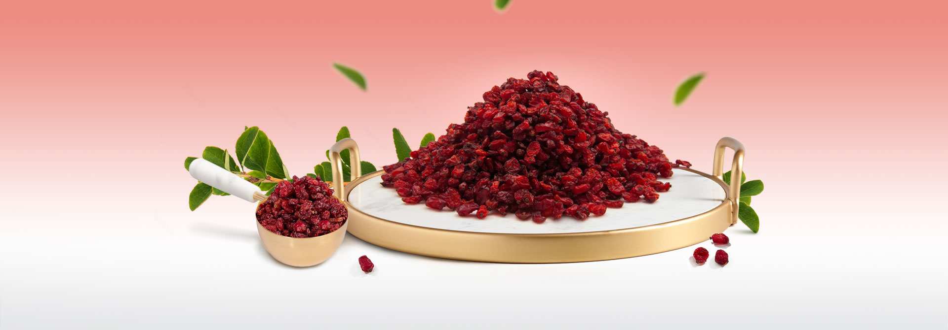 خرید زرشک صادراتی