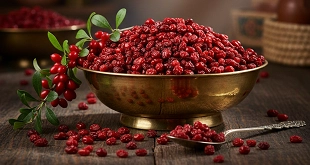 پخش بهترین زرشک ایران با ارسال سریع